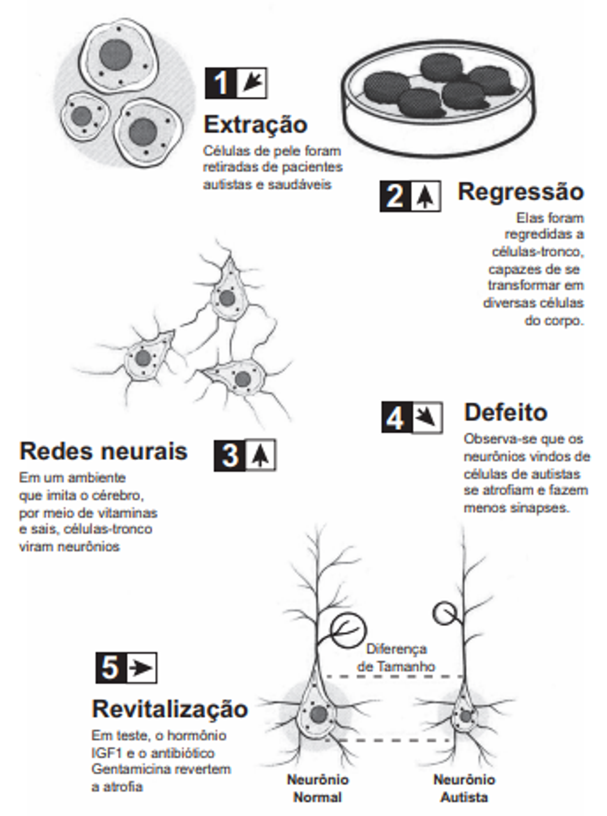 Questão 77 - ENEM 2013 - Biotecnologia