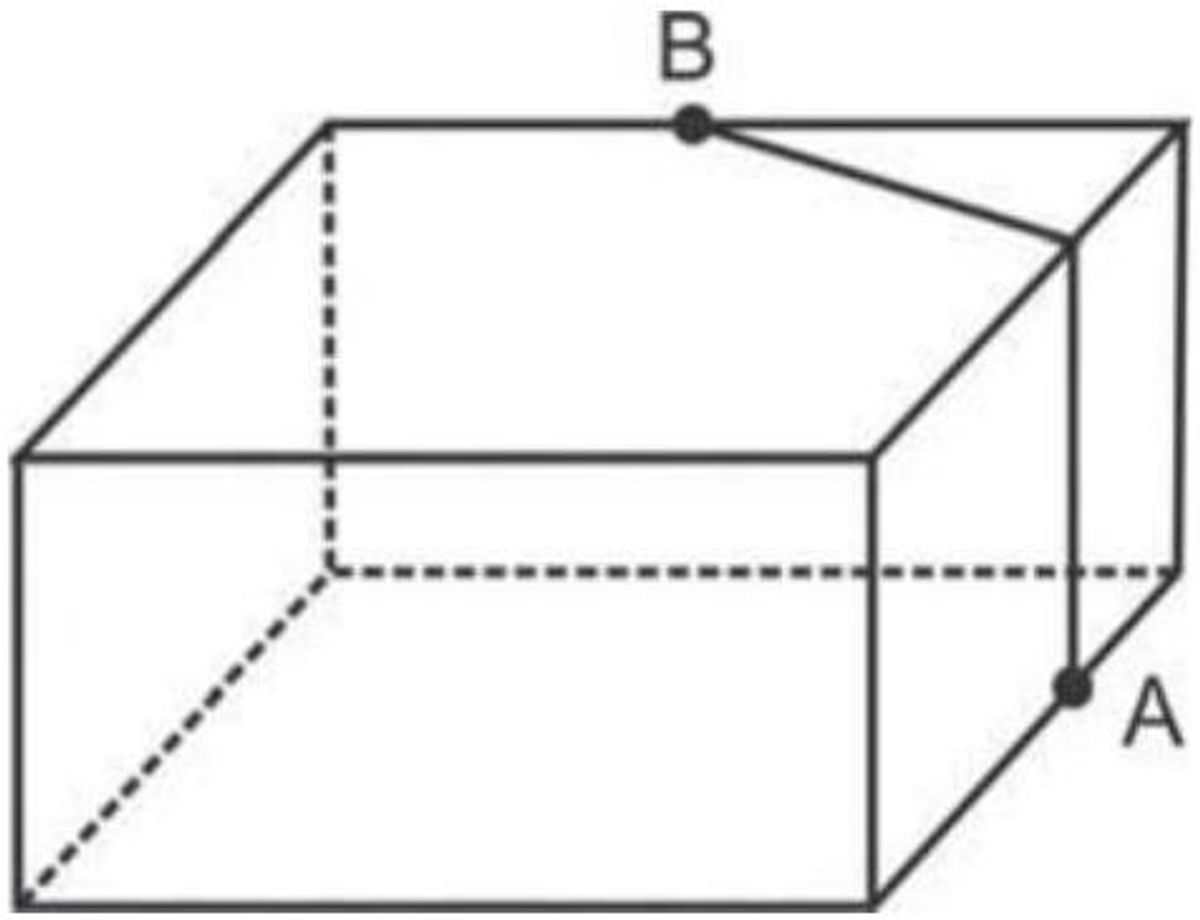 Questão 137 - ENEM 2010 - Geometria Espacial