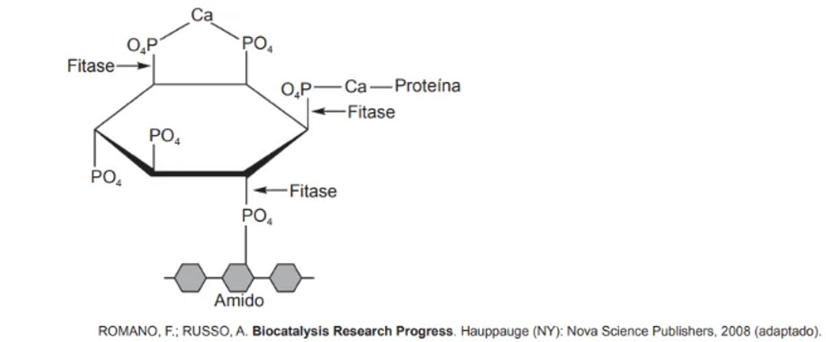 Questão 095 - ENEM PPL 2018 -