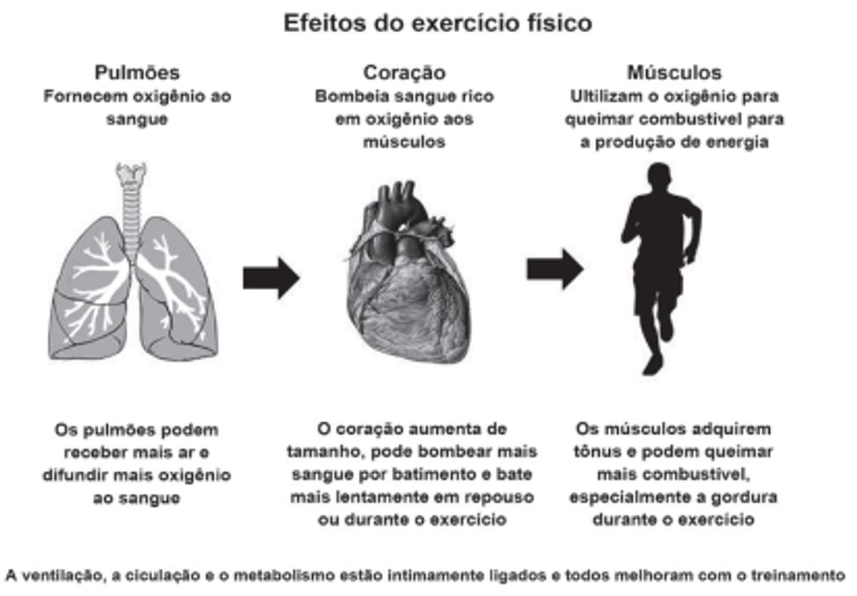 Questão 96 - ENEM 2012 - Linguagem Corporal