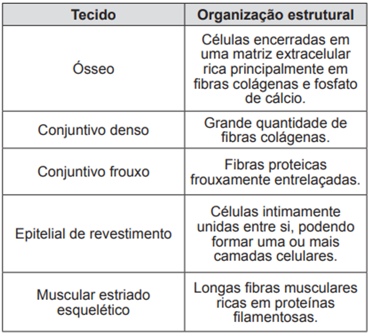 Questão 62 - ENEM 2012 - Histologia animal