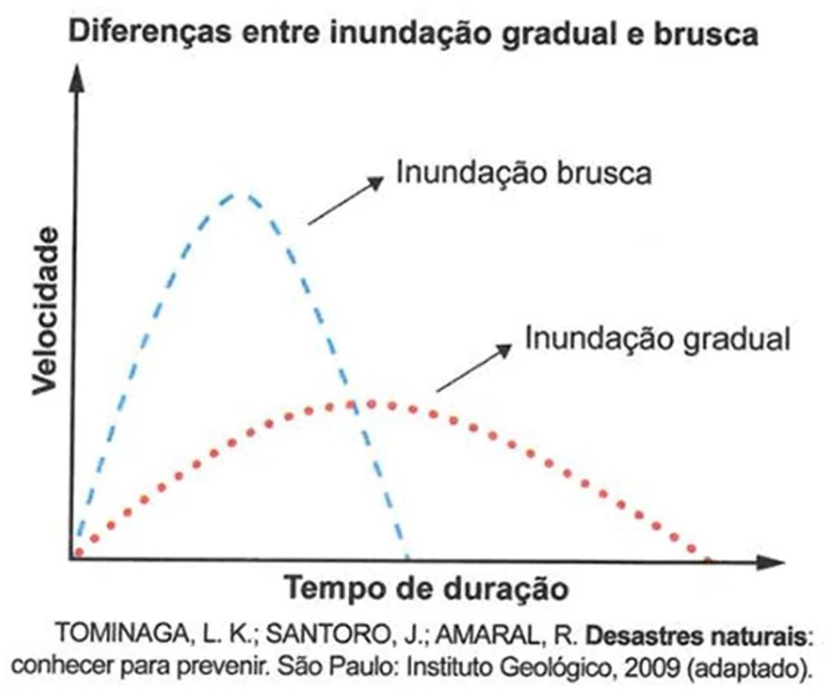 Questão 053 – ENEM 2024 -