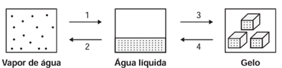 Questão 099 – ENEM PPL 2020 -