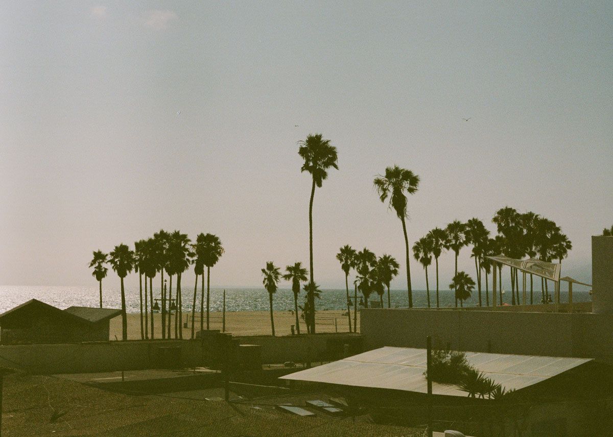 Do You Need a Car for a Stay in Venice Beach?