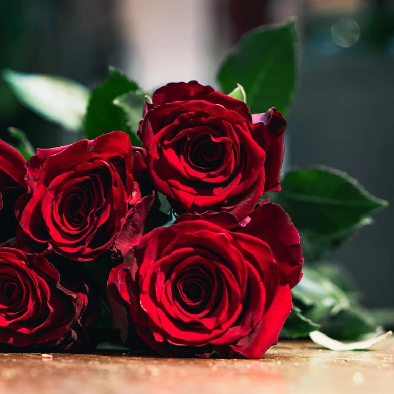Röda rosor på ett bord.
