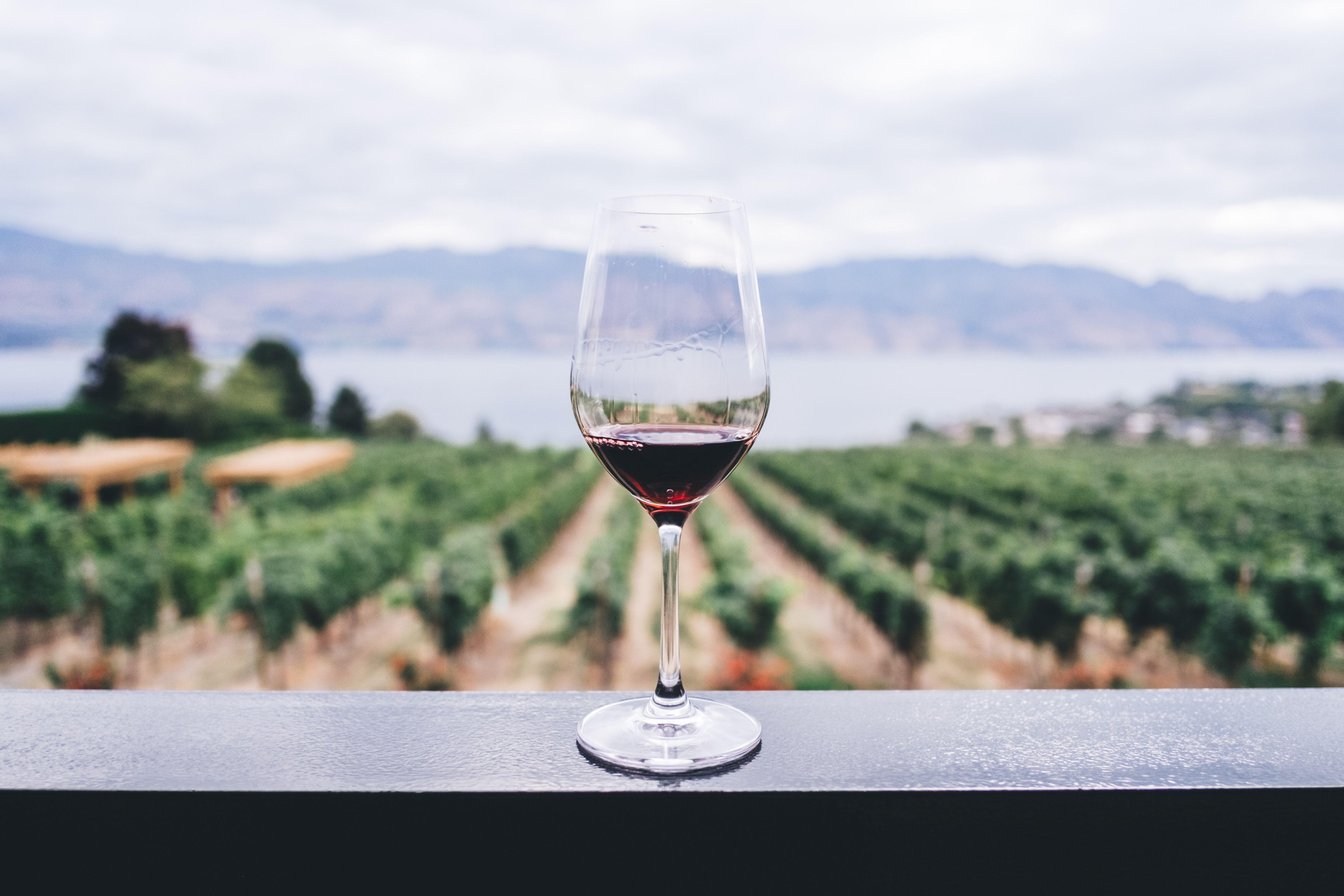 Ett glas vitt vin på ett räcke med utsikt över en odling.