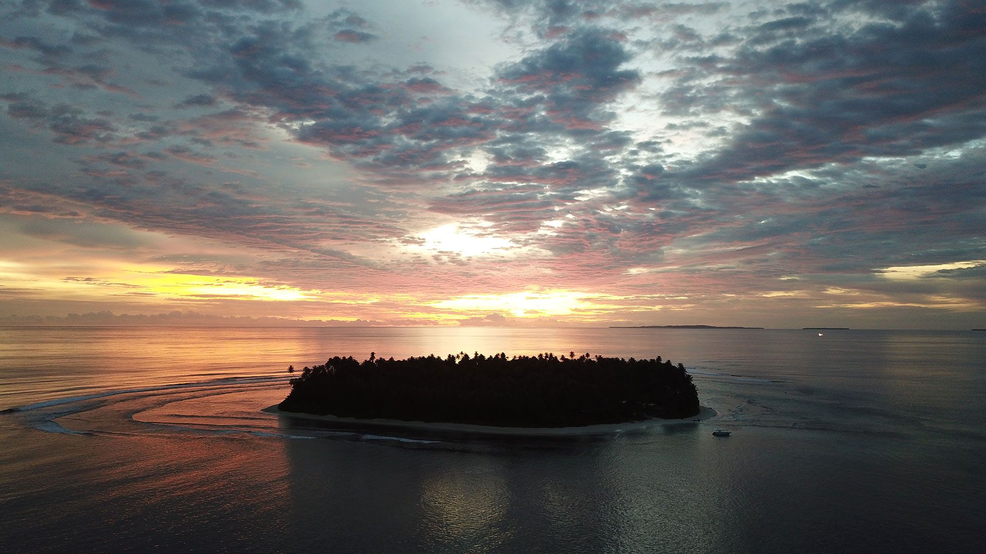 View of beach and ocean from behind a tree