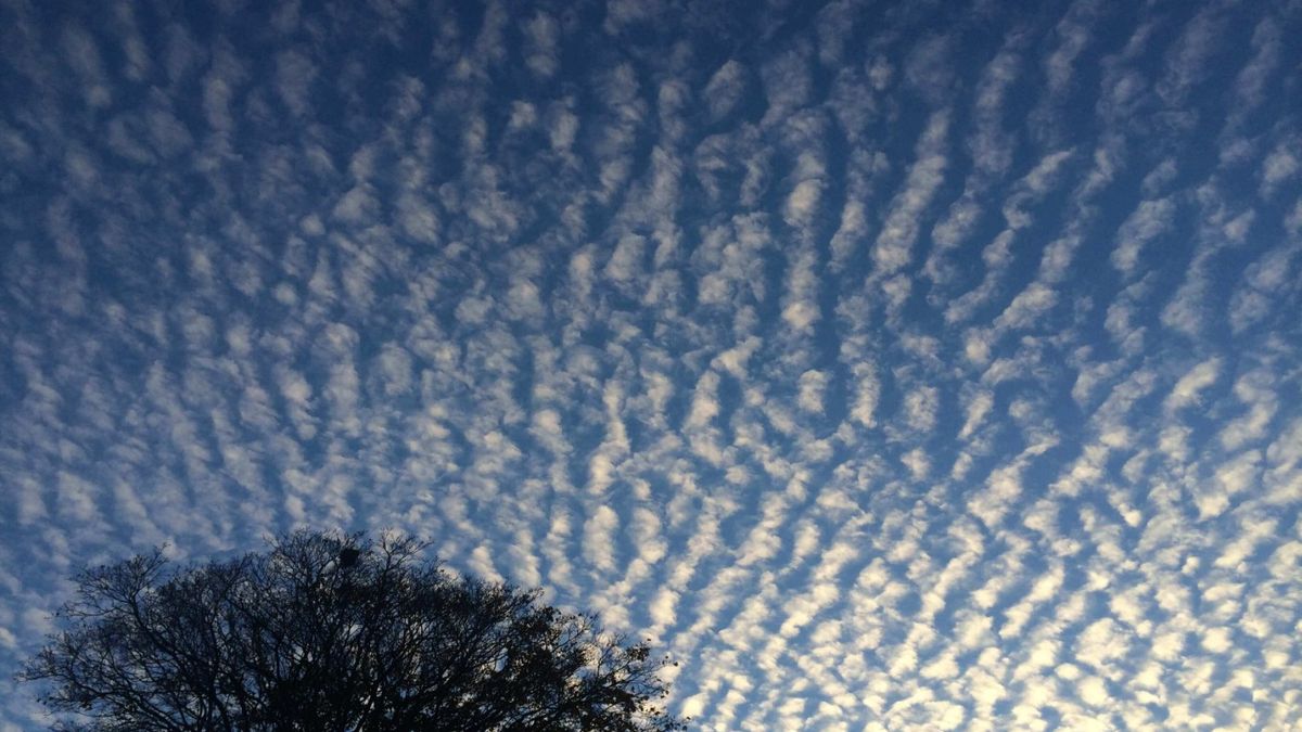 Looking up at the sky