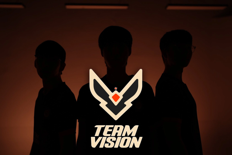 Team Vision cover image.