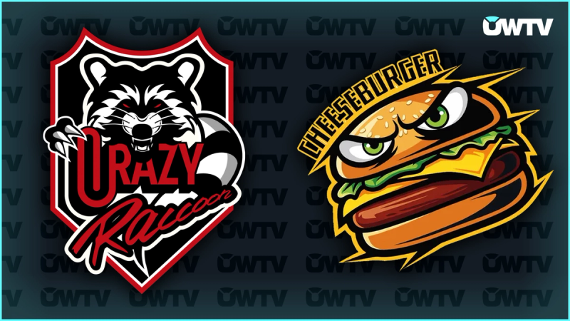 Crazy Raccoon vs. Cheeseburger