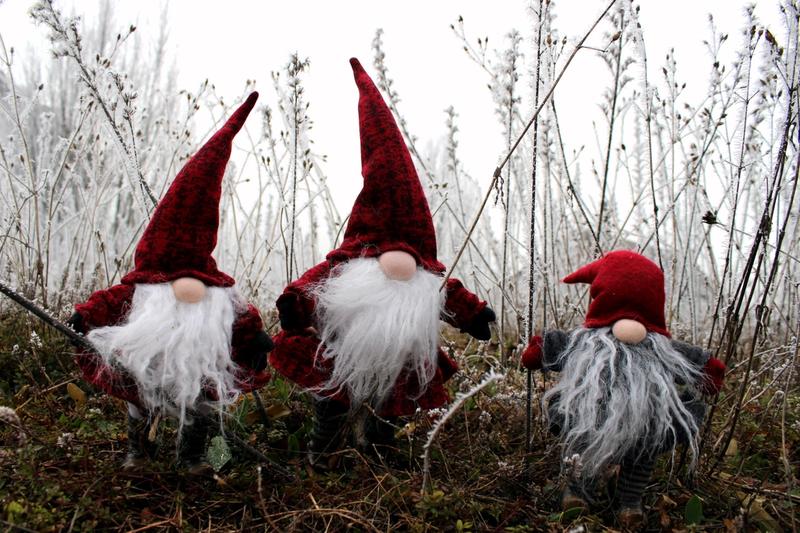 Նկարում սպիտակամորուք երեք թզուկներ են ձյուն դրած խոտերի առջև