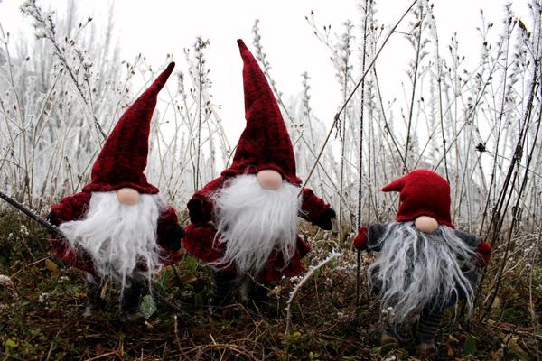 Նկարում սպիտակամորուք երեք թզուկներ են ձյուն դրած խոտերի առջև