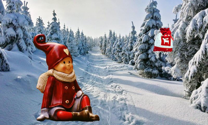 Vinter, skog, snø, nisse