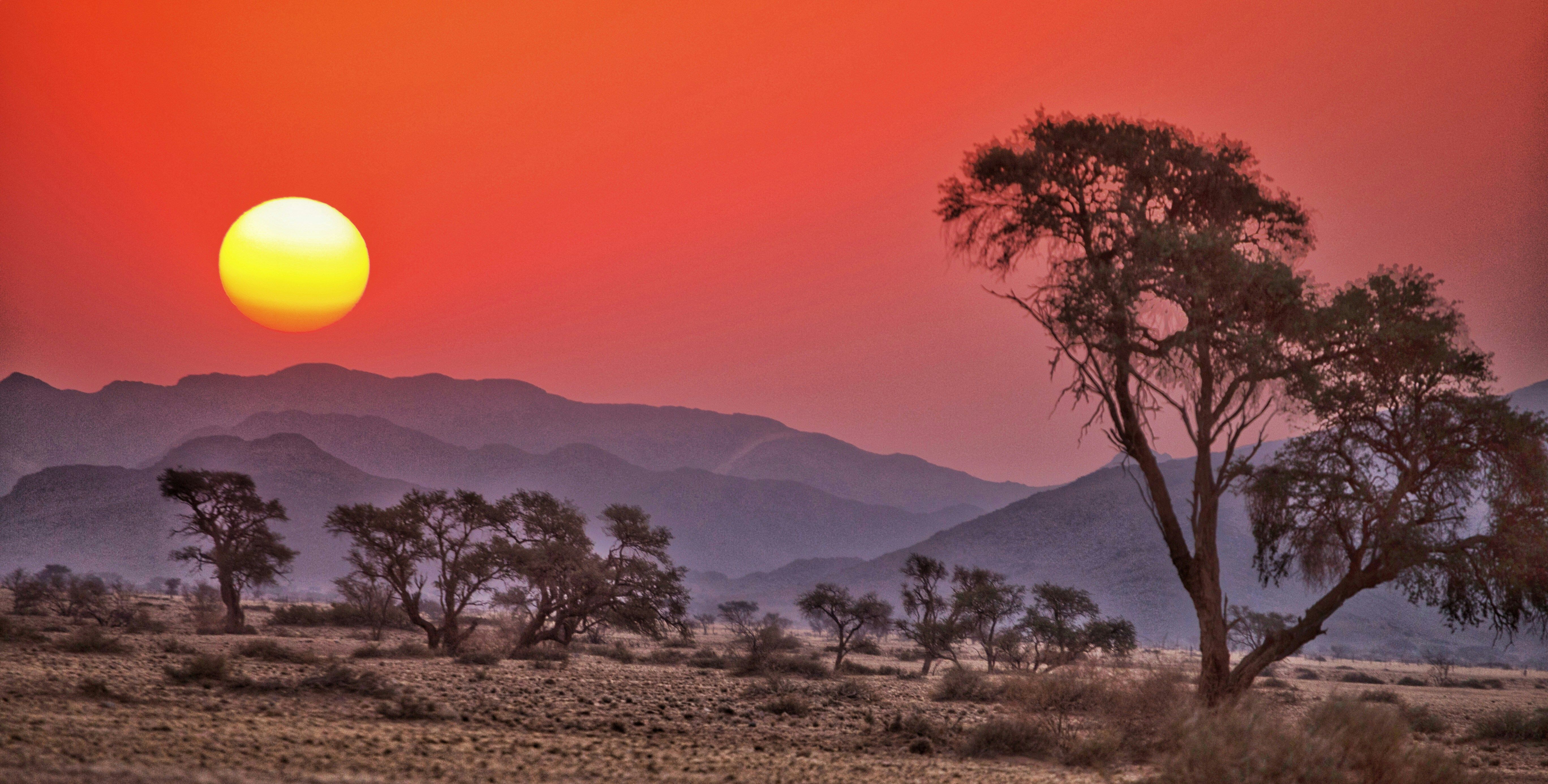 Africa Landscape