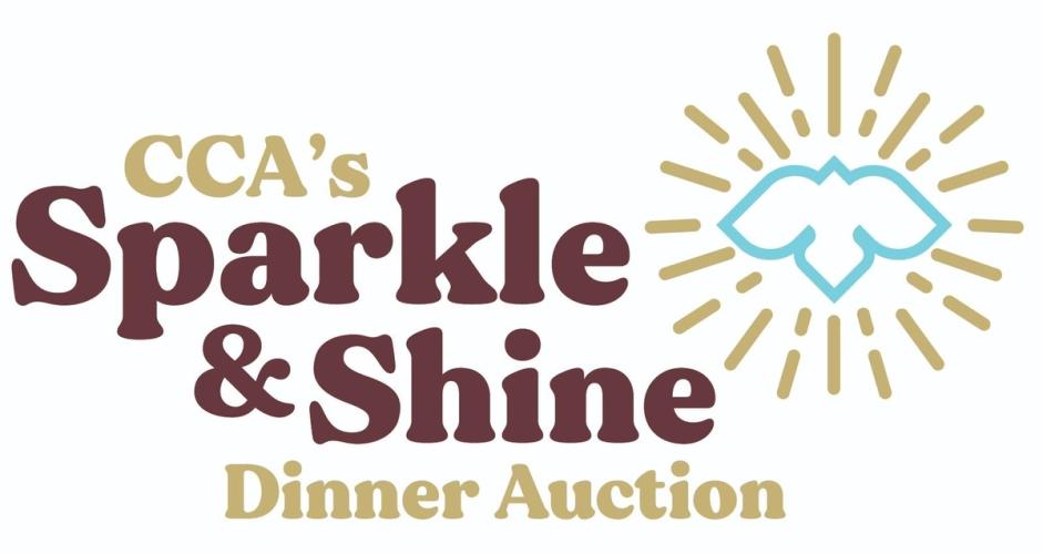 Sparkle And Shine Dinner Auction