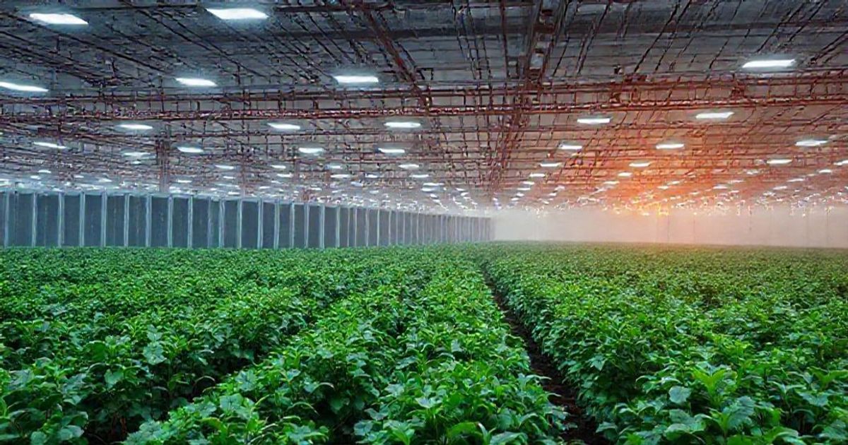 Cipher Mining Powers Up: Stock Surges on Major 200MW Ohio Expansion