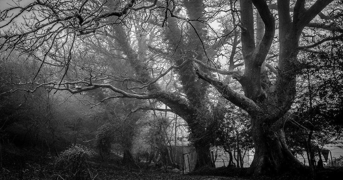 MEET48 & Messari 2025 Report: AIUGC Entertainment Analysis