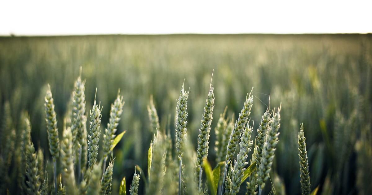 Nvidia's GTC Event Sparks Analyst Frenzy: Price Targets Surge on AI Dominance