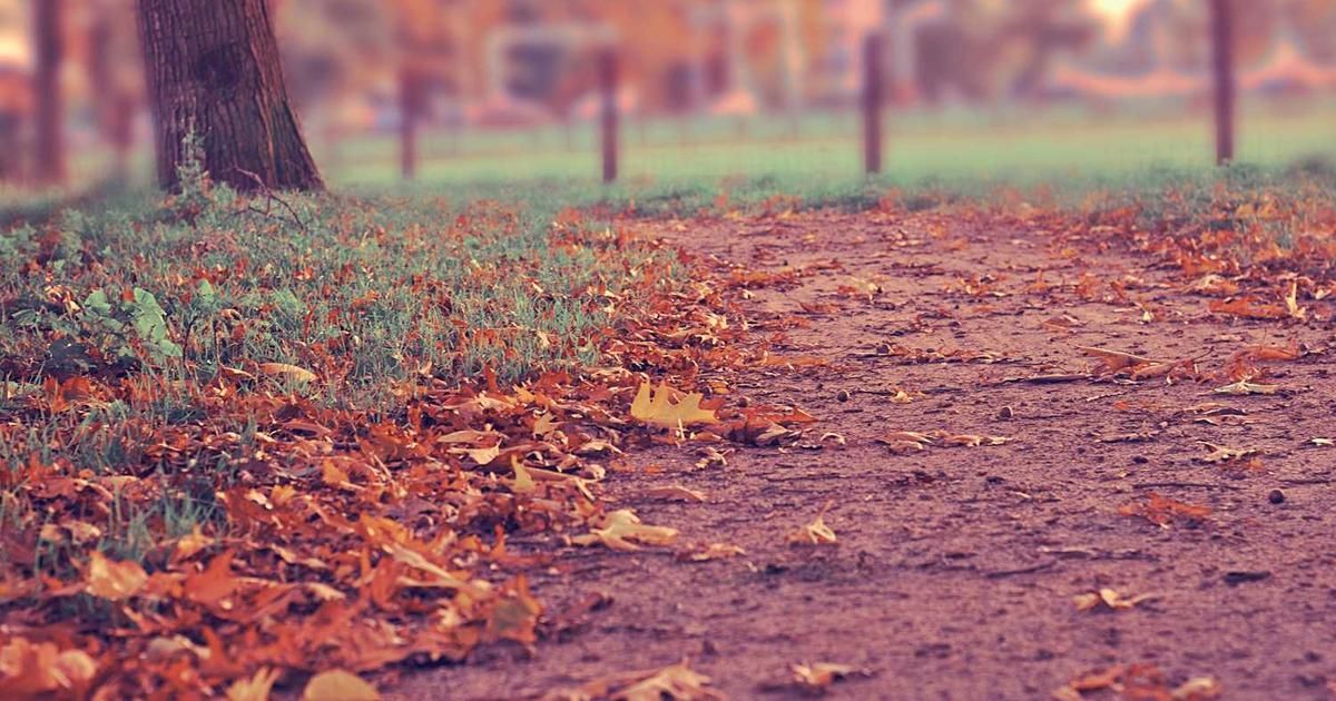 AI Predicts Bitcoin & Altcoin Price Ranges for 2026