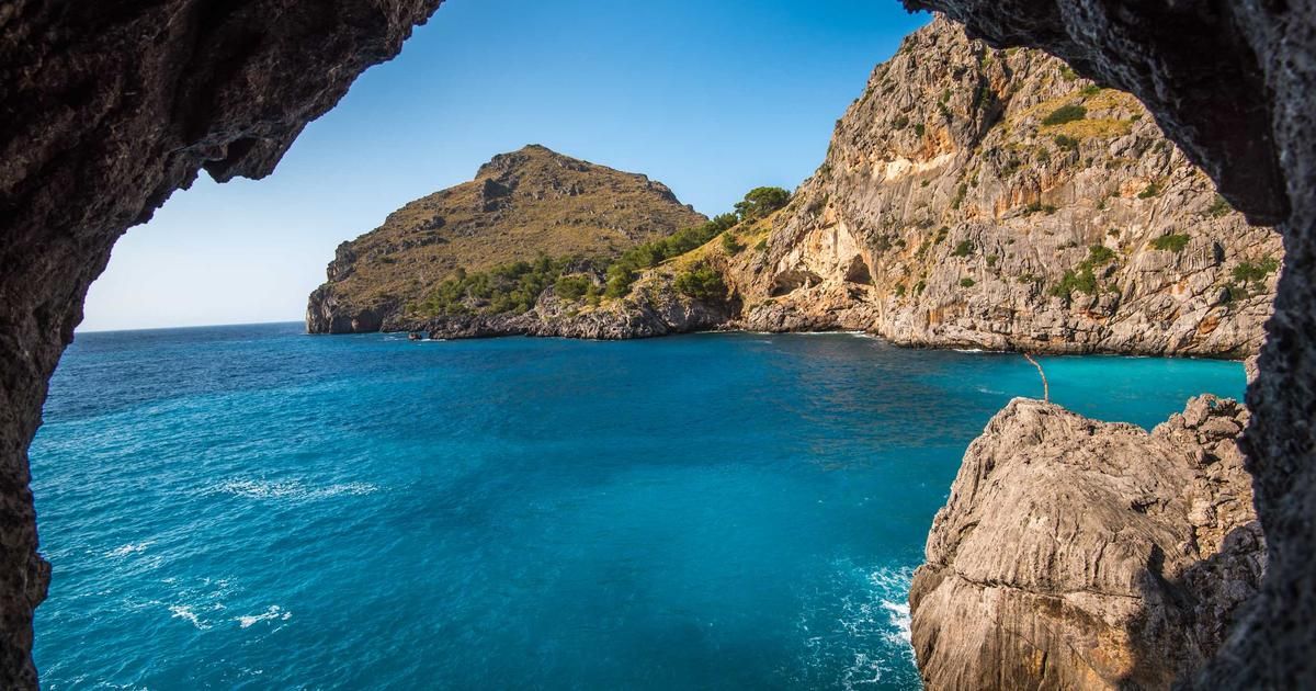 Crypto's $290B Weekend Wipeout: What's Next for Bitcoin and Digital Assets?