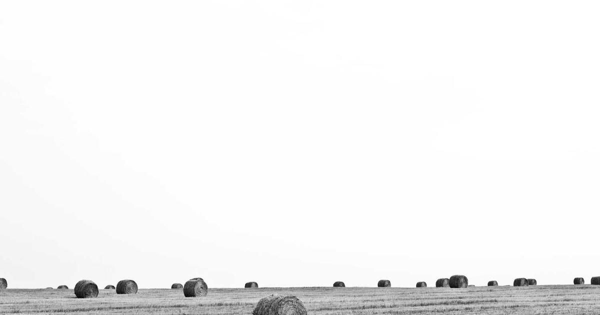 Tether Invests $50M in Ledn at $500M Valuation: What Traders Need to Know