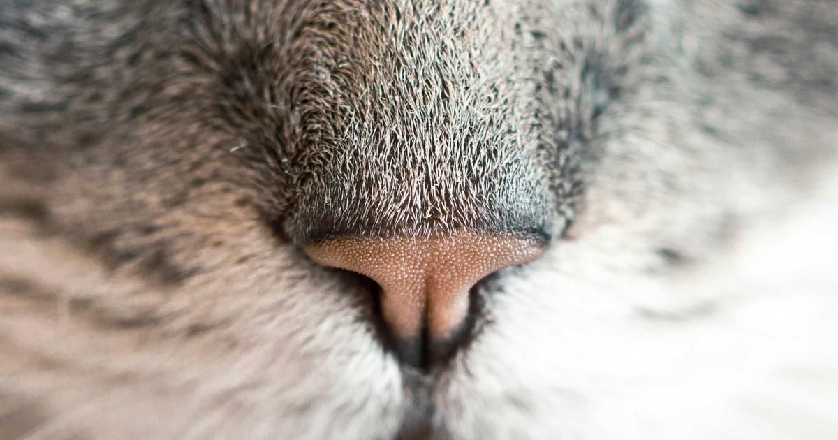 Beyond the AI Hype: The Hidden Infrastructure Play Wall Street is Watching