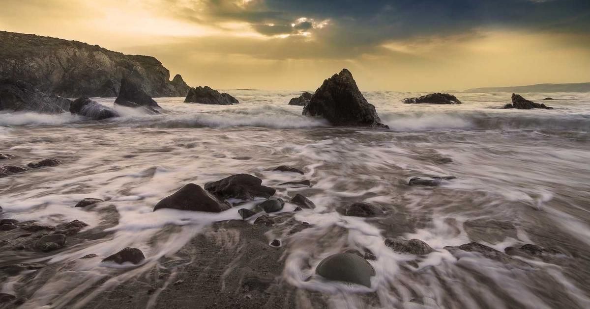 Danny Moses: Why Prediction Markets Are Investing's Future (2024)