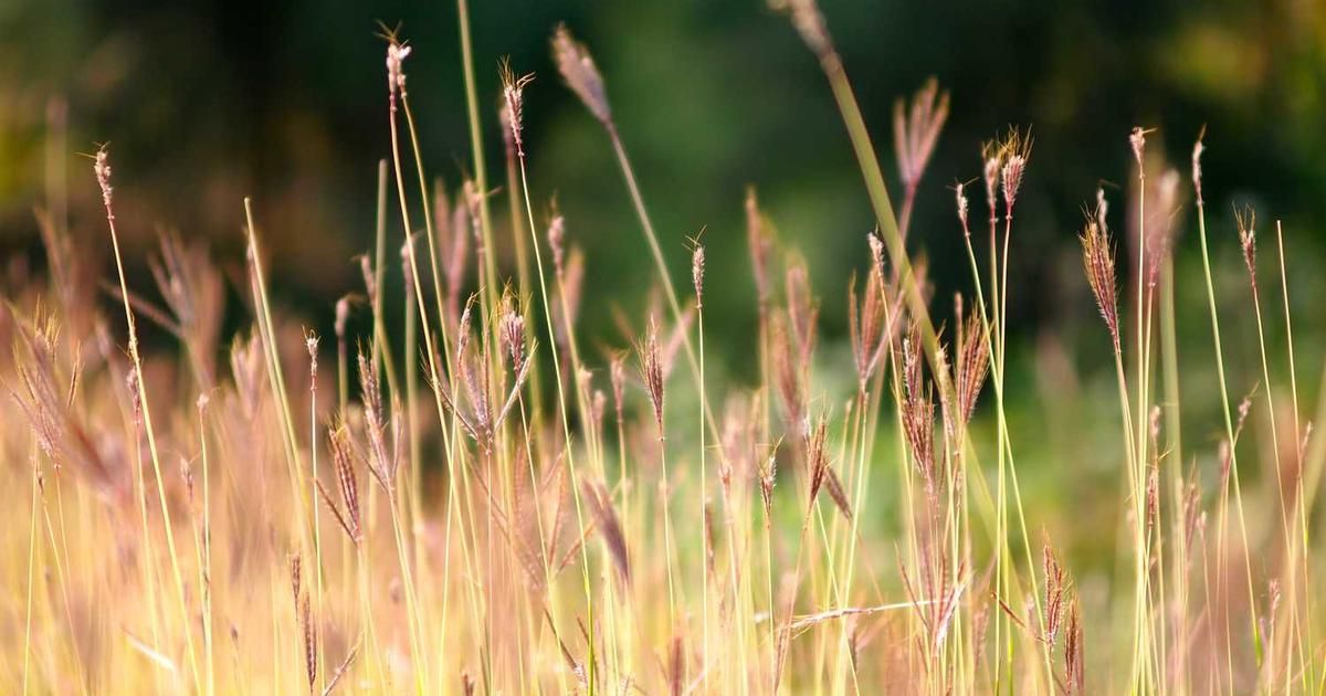 Mobileye's Major US Deal Boosts 2024 Production Outlook