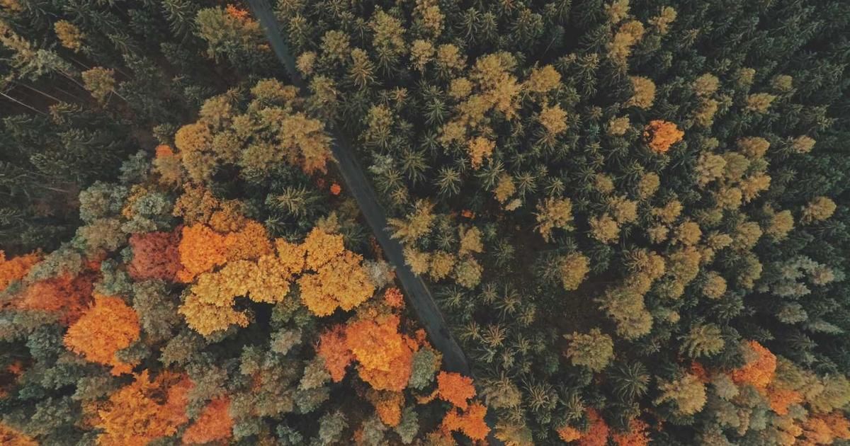 Big U.S. Stock Market Changes in 2024: More Trader Opportunities