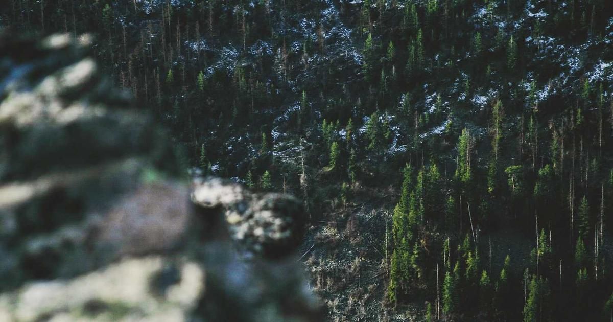 AI Romance Scams Drain Bitcoin Funds: 2024 Trader Alert