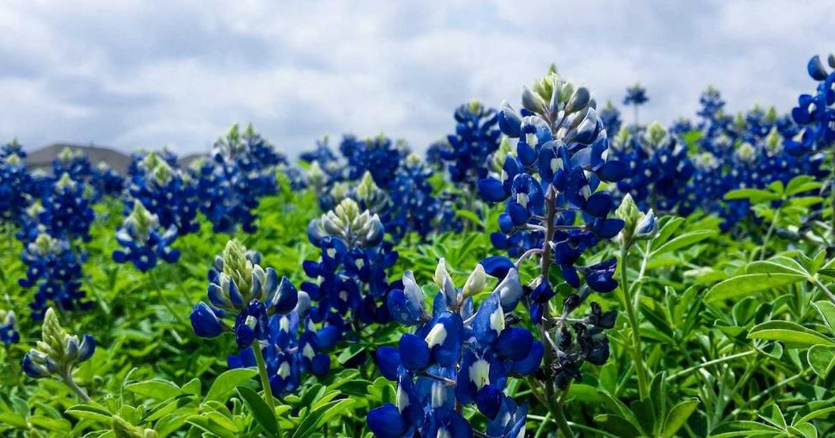 Wall Street: No Stock Bubble in 2024 Despite AI Hype & Anxiety