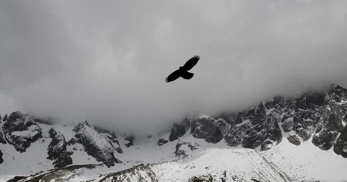 Crypto Lags Gold & Stocks: Why 2026 Could Spark a Catch-Up Rally