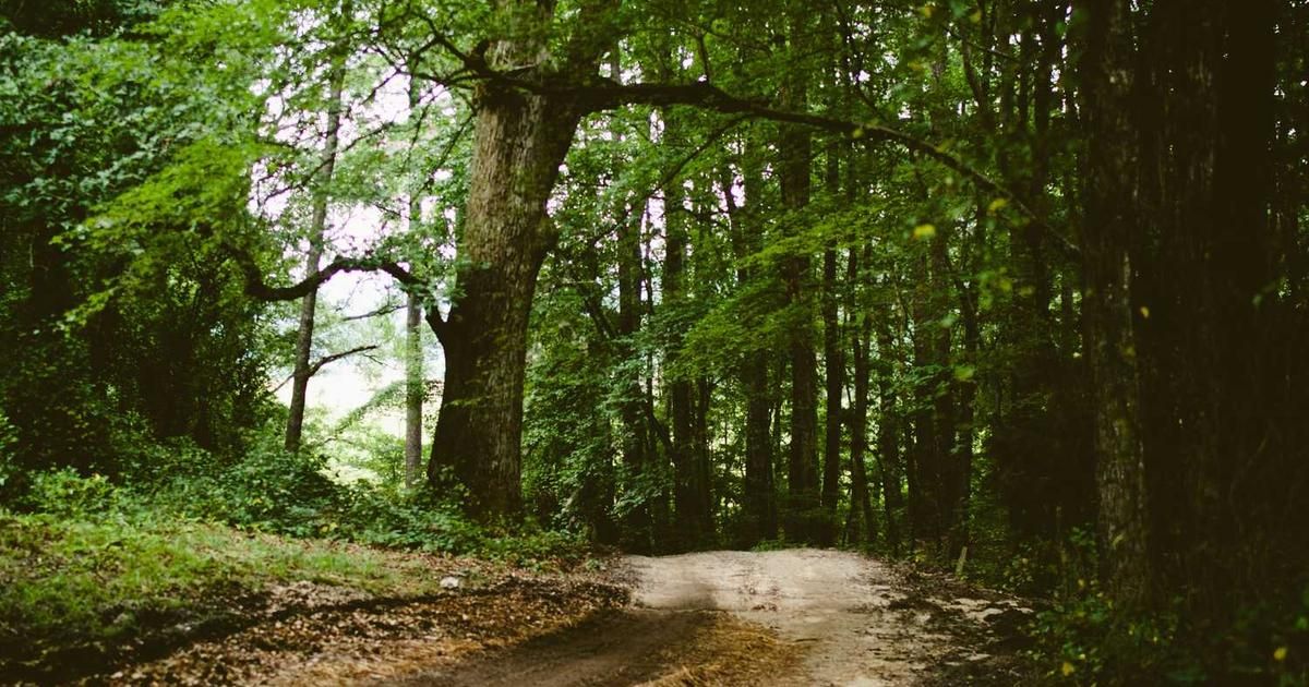 Trump's Greenland Invasion Plan: Market Risks & NATO Fallout 2024