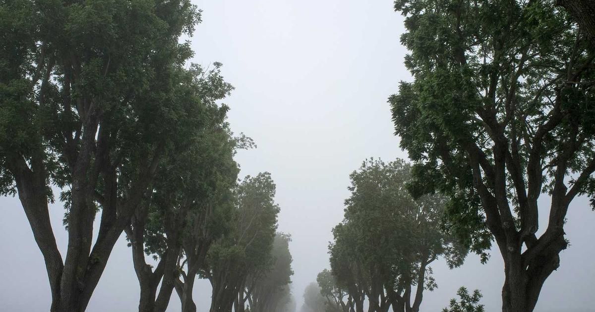 Why the Stock Market Could Easily Get Spooked in 2024