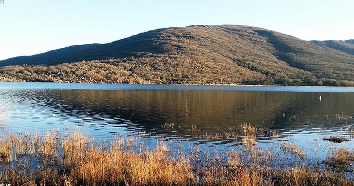 Jim Cramer on NetApp 2024: “I Think It’s an Okay Company”