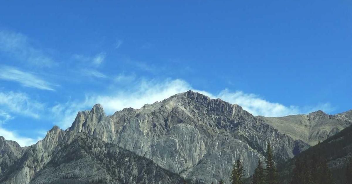 ADA Jumps 7% in 2026 as Bitcoin, Ether Gain Steadily