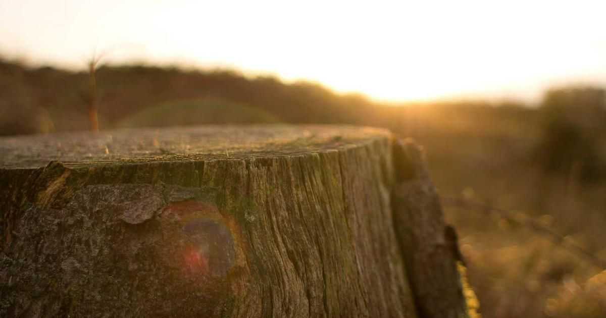 Fed Minutes Signal Rates on Hold 'For Some Time' in 2024