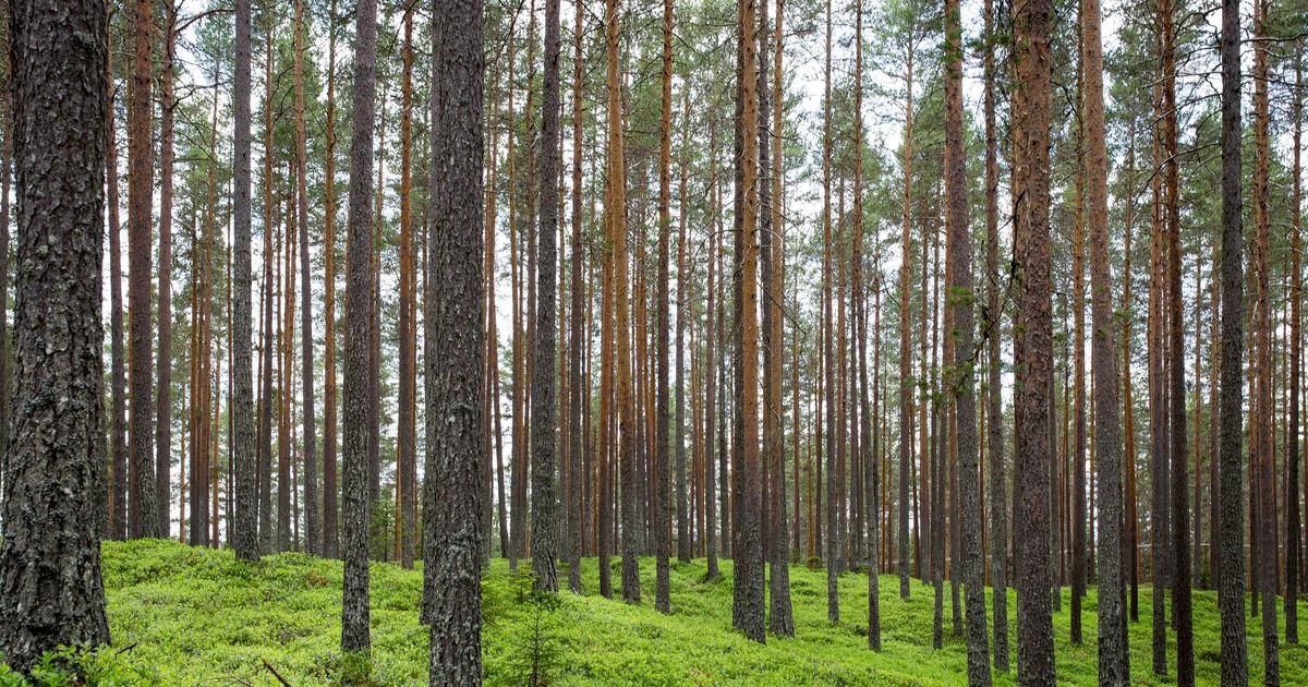 Why a $30 Investment Could Signal a Major Shift in Growth Stock Strategy