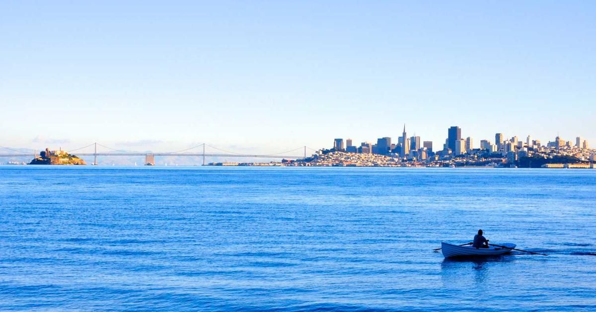 OPEC+ January 2025 Meeting: Output Pause Expected Amid Oil Surplus