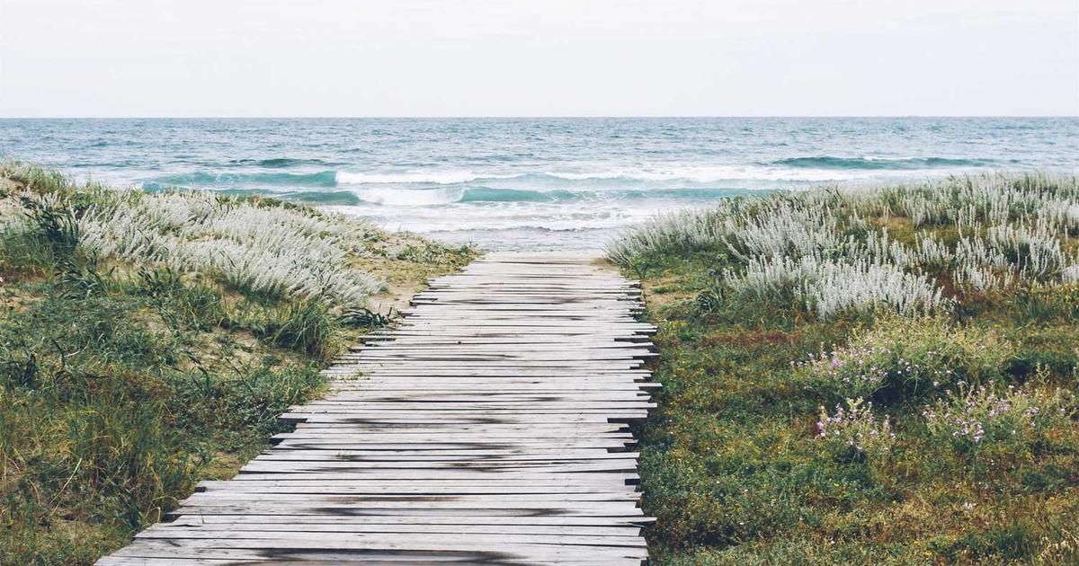 Weak Demand Hits Cotton Prices in 2024: 1 Strategic Trade Idea