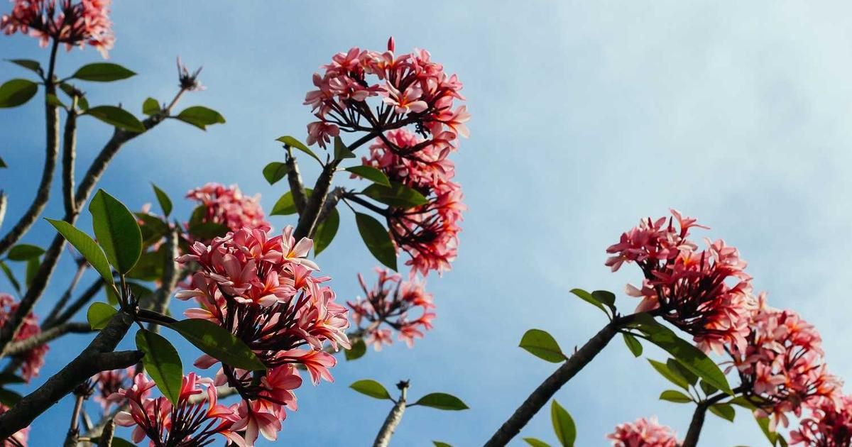 ONDS Stock Soars 30% on Strategic Business Transformation