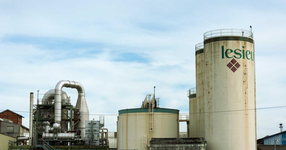 Oddity Tech Downgraded by Truist as Ad Algorithm Woes Threaten Growth