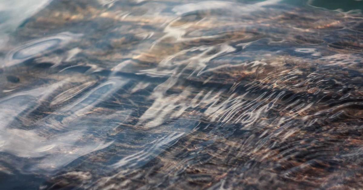 MOEX Russia Index Stalls: 2024 Trading Implications