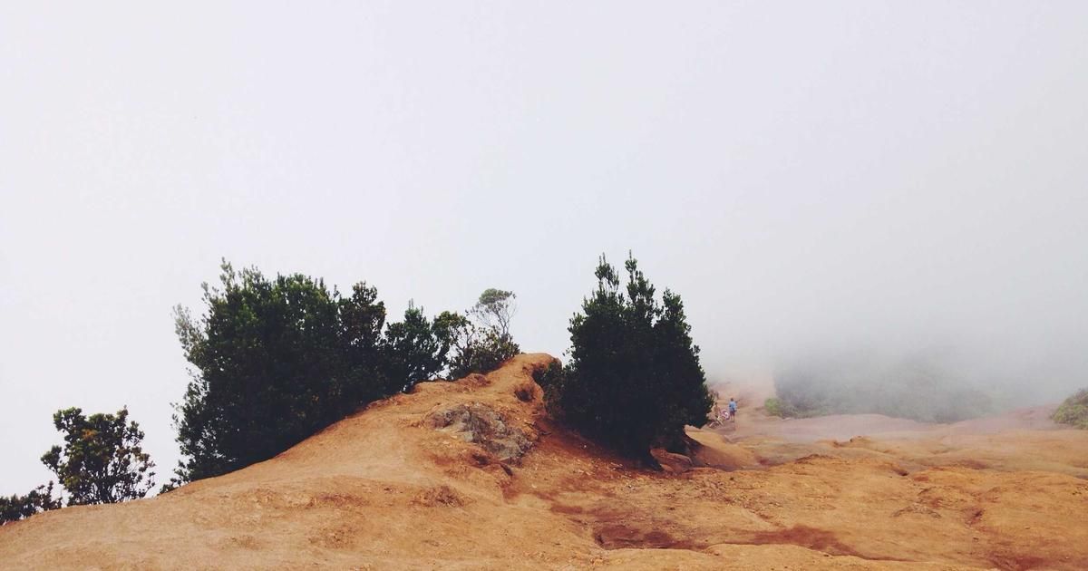 Global Stocks Rebound as Commodities Slump: What's Driving the Divergence?