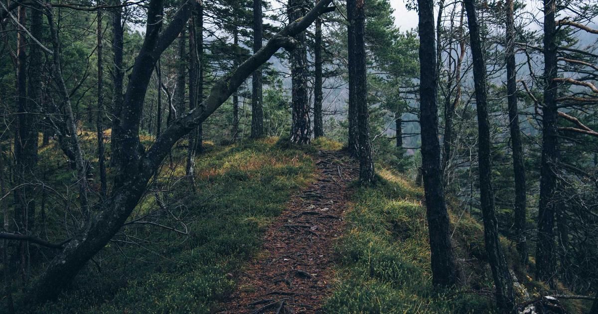 Amazon's USPS Pullback Signals Major Logistics Shift, Market Impact Looms