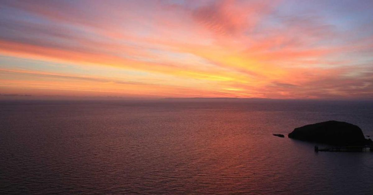 Piper Sandler Bullish on Palisade Bio IBD Drug, Rates Stock Overweight