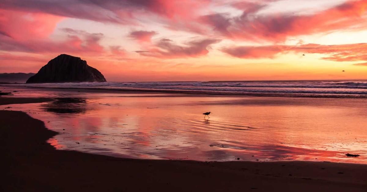 Why Bitcoin & Major Tokens Are Surging in Early 2026