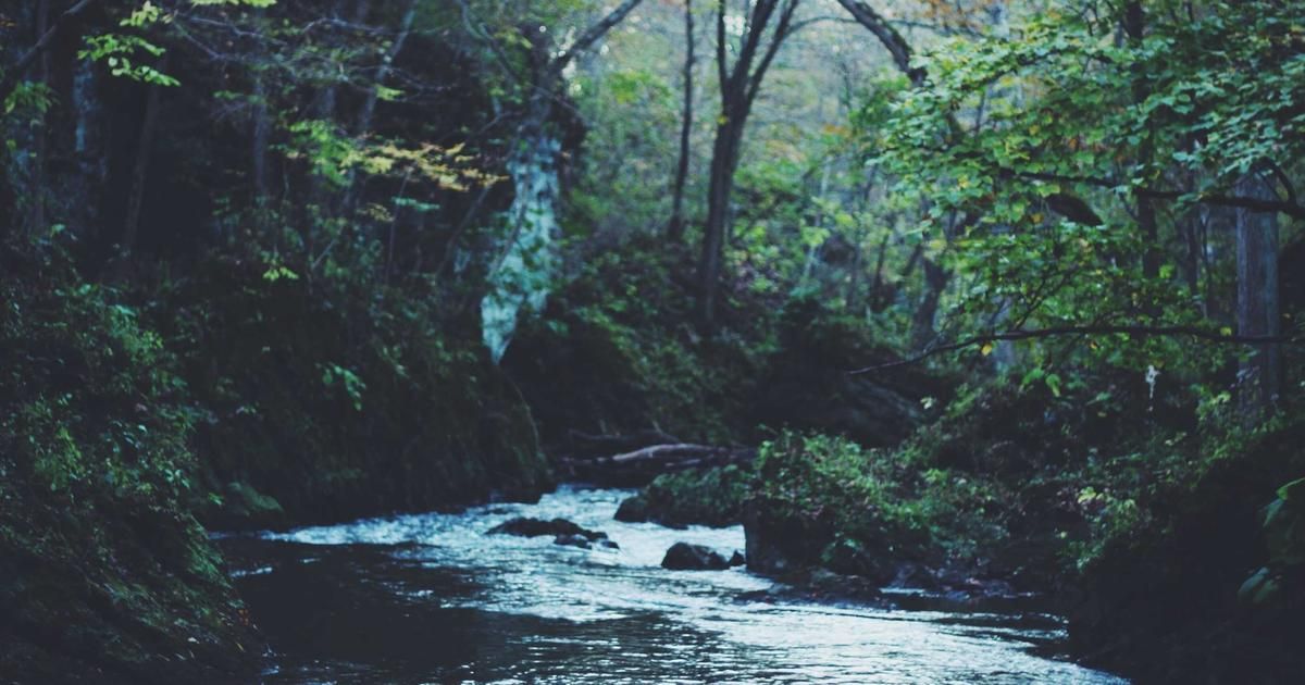 Why Top Investors Are Betting Big on Ares Capital (ARCC) Now