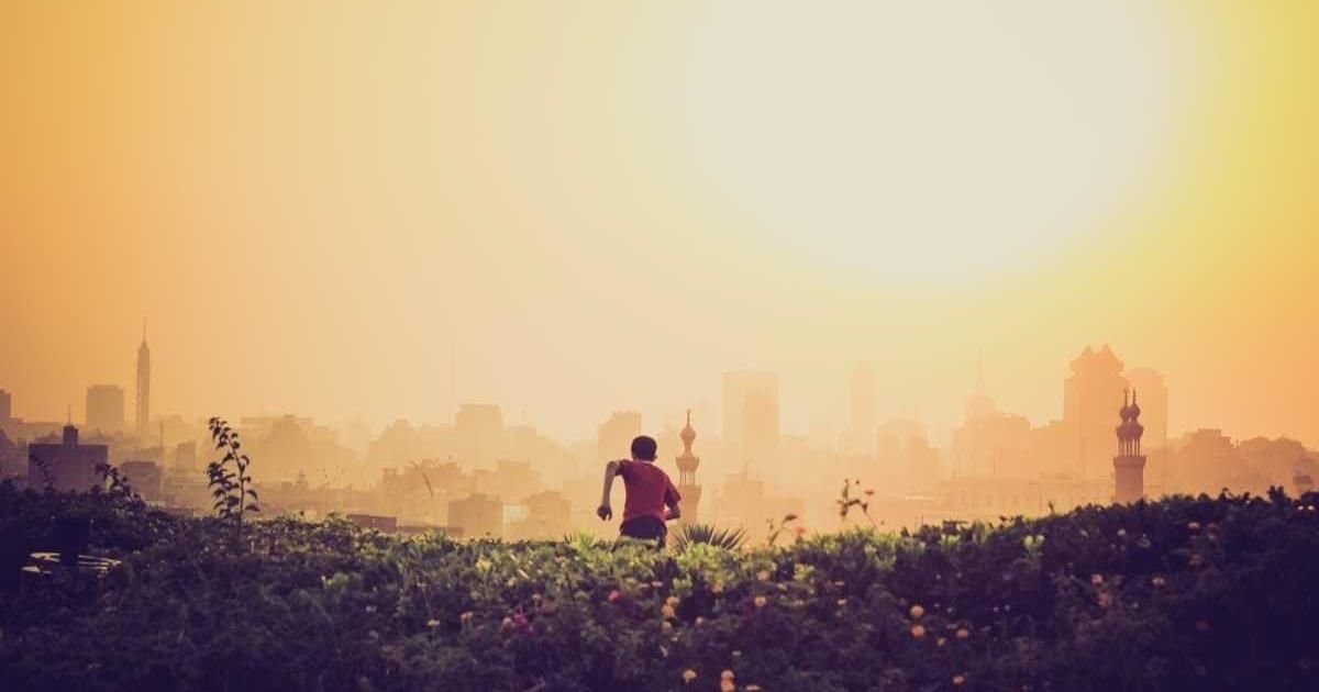 CoinDesk 20 Update: Solana (SOL) Leads Index with 1.4% Gain