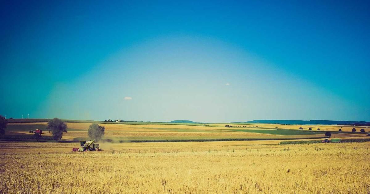 Japan's Takaichi Weighs Snap Election: Market Impact for 2025